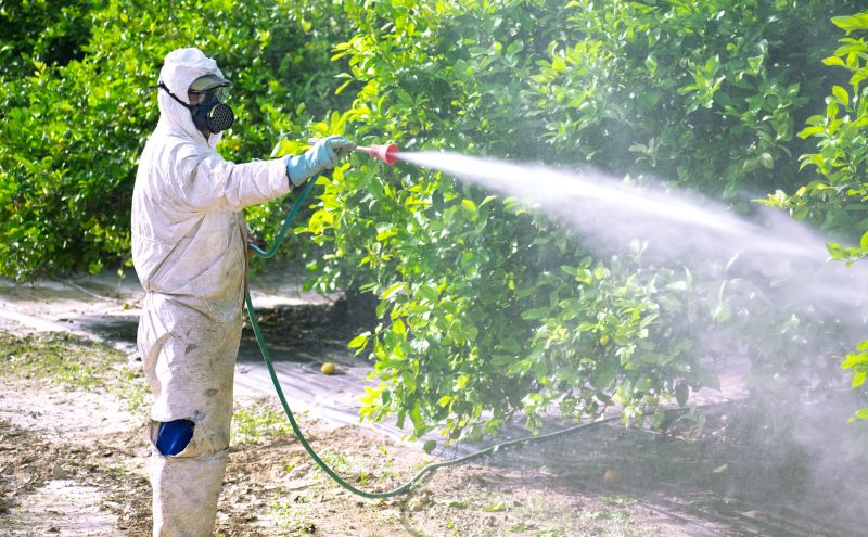 Residential Fumigation in Marietta, GA